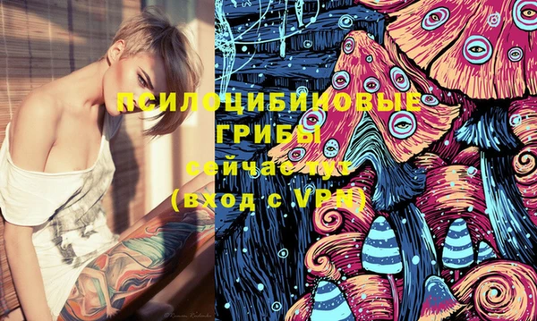 MDMA Premium VHQ Дмитриев