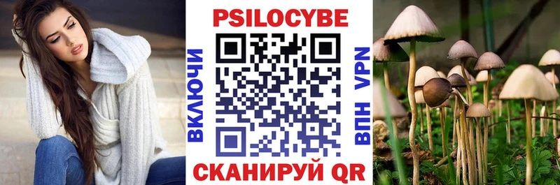 Купить где  Емва  Псилоцибиновые грибы Psilocybe 
